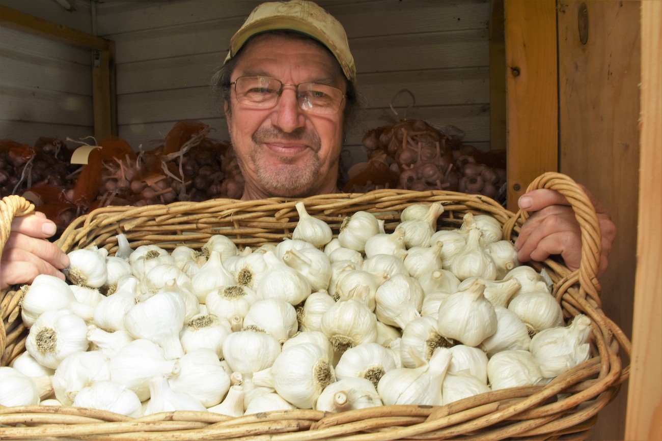 Online works but face-to-face best  for garlic grower