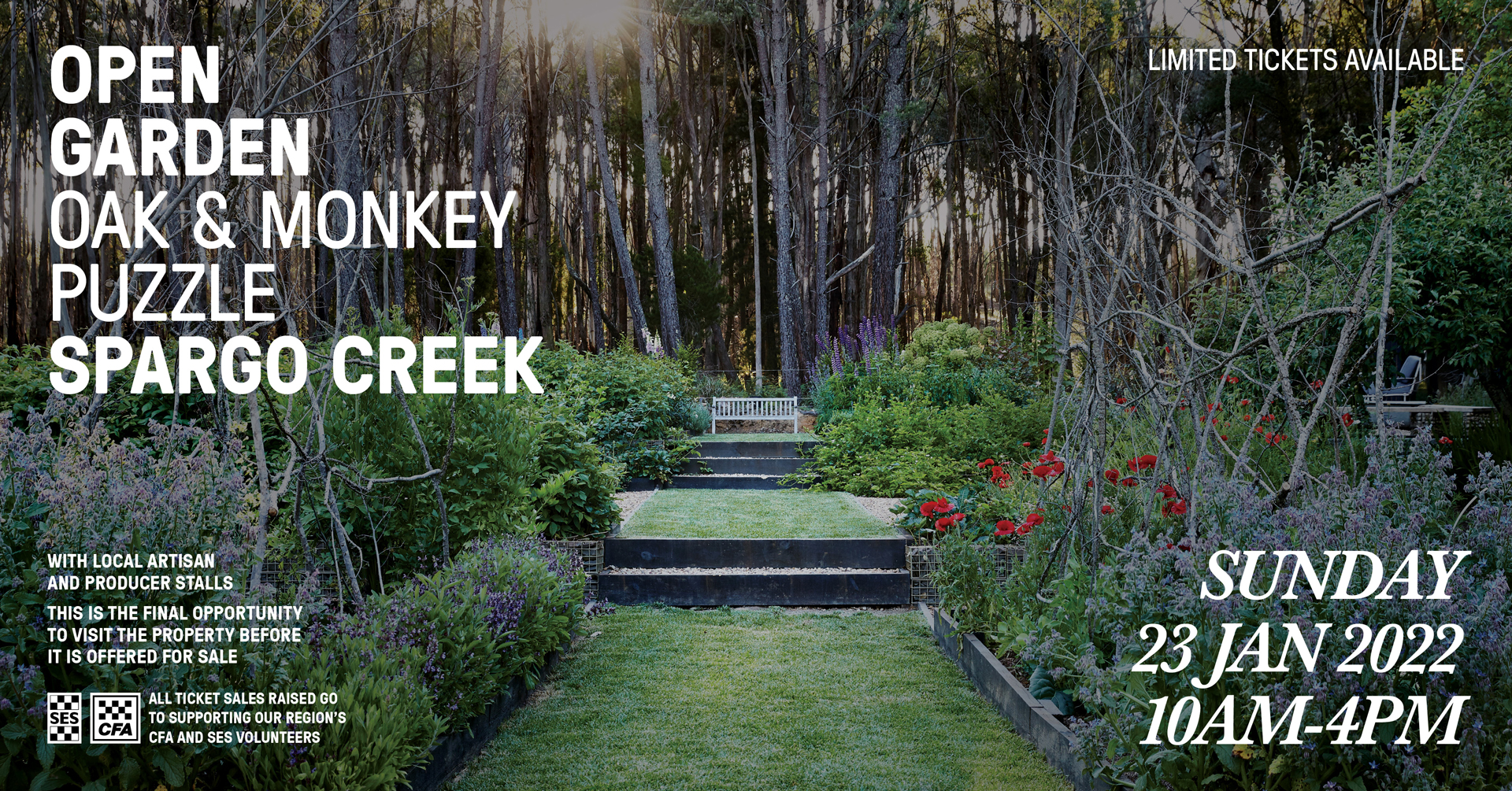 Oak & Monkey Puzzle Open Garden, Daylesford region, Victoria