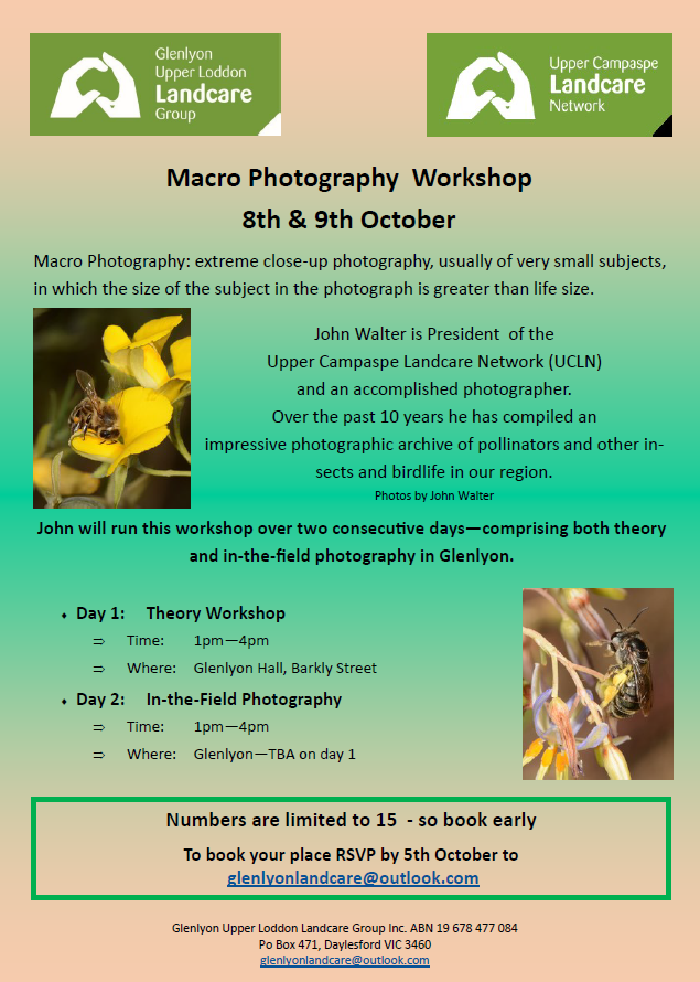 macro-photography-workshop-the-local