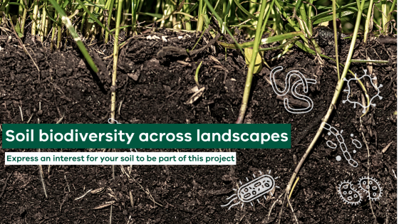 Soil needed to dig deeper into microbiome research