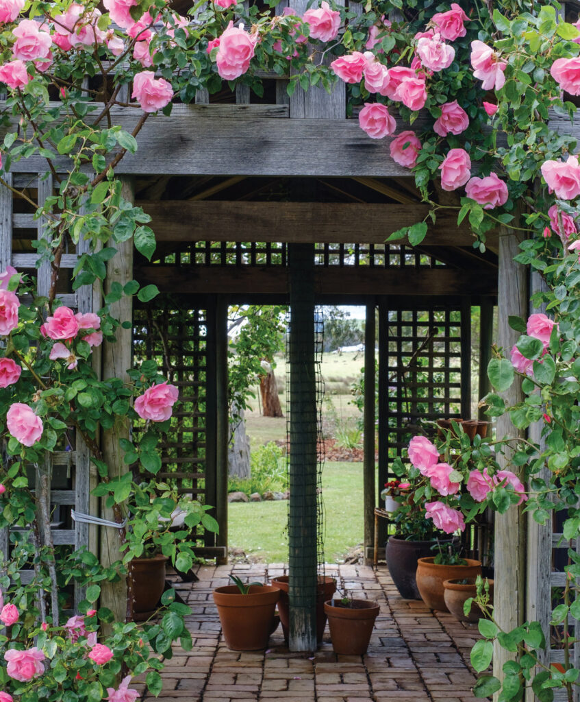 Creswick Garden Lovers